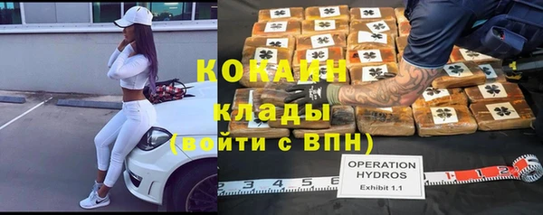 дживик Абинск
