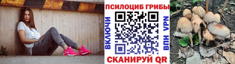 Галлюциногенные грибы GOLDEN TEACHER  ссылка на мегу ССЫЛКА  Бежецк 
