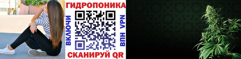 blacksprut сайт  Бежецк  Канабис ГИДРОПОН 